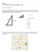 Actividad 2. Rectas, triángulos y teoremas de Pitágoras y Tales