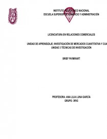 BRIEF EMPRESA PA’MIRART. Página 1