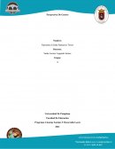 Perspectiva De Genero