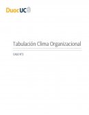ENCUESTA CLIMA ORGANIZACIONAL
