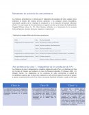 Mecanismo de acción de los anti arrítmicos