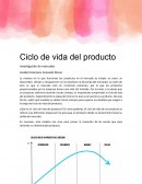 Ciclo de vida de produto y matriz BCG