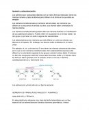 Isomería y estereoisometría