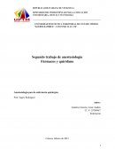 Anestesiología para la enfermería quirúrgica