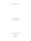 CAMBIO CLIMATICO TALLER