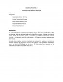 INFORME PRACTICA 1. LABORATORIO QUÍMICA GENERAL
