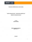 Tarea cimientos organizacionales