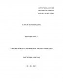 Ley 1123 de 2007 Principios rectores