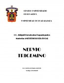 NERVIO TRIGEMINO