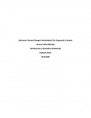 Normativas Medio Ambientales