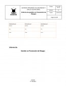 Informe de: Gestión en Prevención de Riesgos