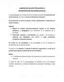 CAMPOS DE ACCIÓN PEDAGÓGICA (INTERVENCIÓN PSICOPEDAGÓGICA)