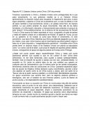 Reporte Nº 2: Estados Unidos contra China | DW documental