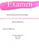 Ejemplo de las etapas de la organizacion de una empresa