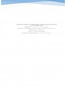 Desarrollando la filosofía organizacional de una empresa