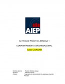 COMPORTAMIENTO ORGANIZACIONAL Caso COASAM