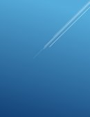 Análisis dinámico de los instrumentos NovoCast