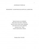 Elementos del laboratorio y bioseguridad
