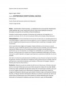 CONTROVERSIA CONSTITUCIONAL. LA PROMOVIDA POR UN MUNICIPIO CONSIDERADO COMO INDÍGENA NO LA HACE PROCEDENTE POR ESE SOLO HECHO