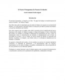 El Factor Protagonista En Nuestra Evolución