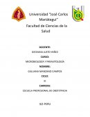 PRACTICA CALIFICADA DE VIRUS