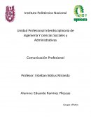 Ensayo del Psicoanalista