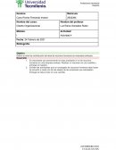 Actividad 4 diseño organizacional