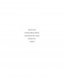 Introducción a la Contabilidad