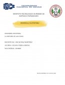 Ensayo La historia de las cosas