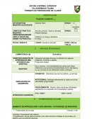 Didáctica de lengua castellana