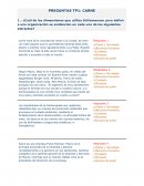 PREGUNTAS TP1: CARNE