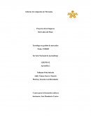 Proyecto de la Empresa. Derivados del Maíz