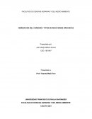 HIBRIDACION DEL CARBONO Y TIPOS DE REACCIONES ORGANICAS
