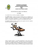 Las cantidades físicas se clasifican en escalares y vectoriales