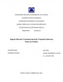 Registro Mercantil, Propiedad Industrial, Propiedad Intelectual, Títulos de Créditos