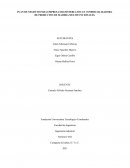 PLAN DE NEGOCIO PARA EMPRESA EBANISTERIA ZOCAN COMERCIALIZADORA DE PRODUCTOS DE MADERA MULTIFUNCIONALES