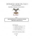 ASPECTOS IMPORTANTES DE LA SENTENCIA EN EL PROCESO COMPETENCIAL