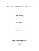 Unidad 1 - Paso 2 - Protocolo De Comunicaciones Y Relaciones Laborales