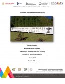 Orden y jerarquia de las operaciones