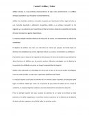 Caso Jet Blue y Twitter