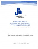 Opinión sobre marcos curriculares