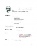 ESTILO DE VIDA FRENTE A LA EDUCACIÓN VIRTUAL DE LOS NIÑOS Y NIÑAS