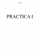 Comportamiento DE LOS Electores