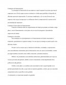 Estrategias de Financiamiento