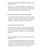 Cual debe ser la tendencia de la compensación el el siglo XXI y cómo se logra este cambio?