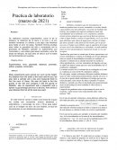 GUIA DE ANALIZIS DE GRAFICAS