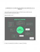 LA IMPORTANCIA Y EL IMPACTO QUE GENERAN LOS CONFLICTOS EN LAS PERSONAS