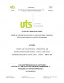 Estudio de factibilidad para la creacion de una empresa de arepas en la ciudad de bucaramanga