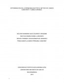 LABORATORIO MECANICA DE SUELOS