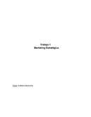 Trabajo 1 Marketing Estratégico